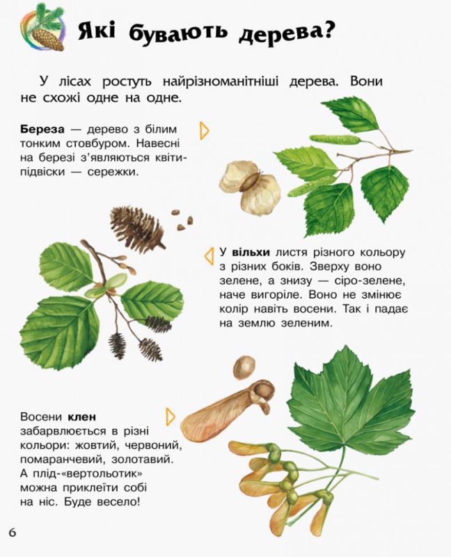 Детская энциклопедия про лес 614016 для дошкольников