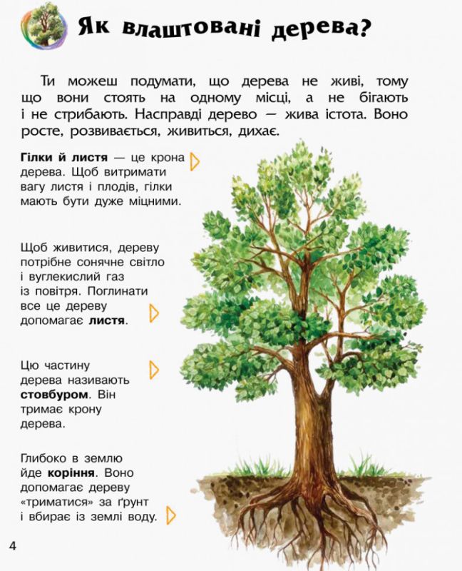 Детская энциклопедия про лес 614016 для дошкольников