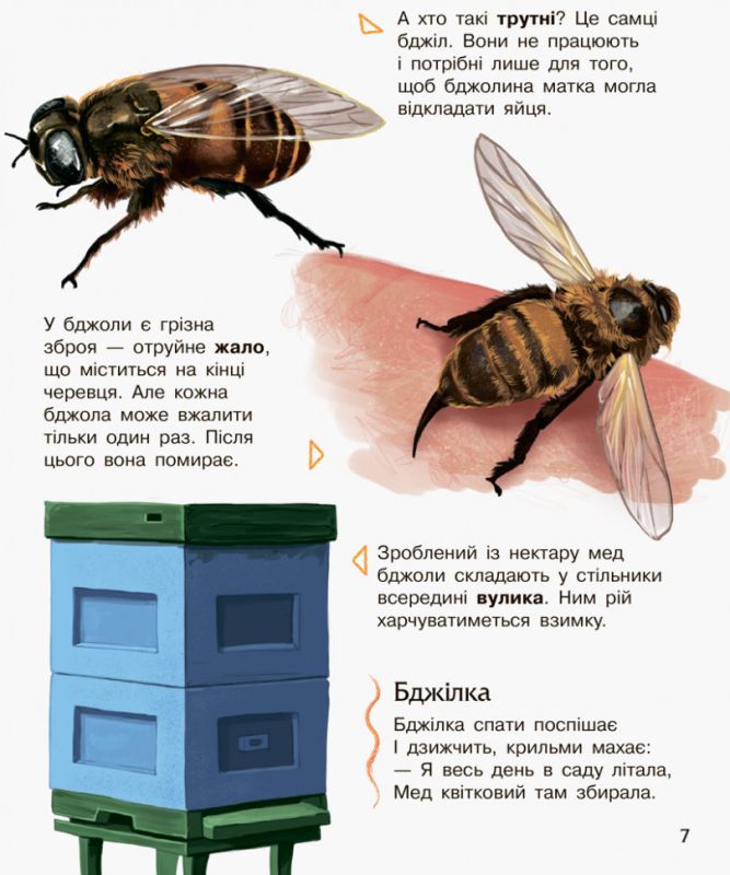 Детская энциклопедия про насекомых 614014 для дошкольников