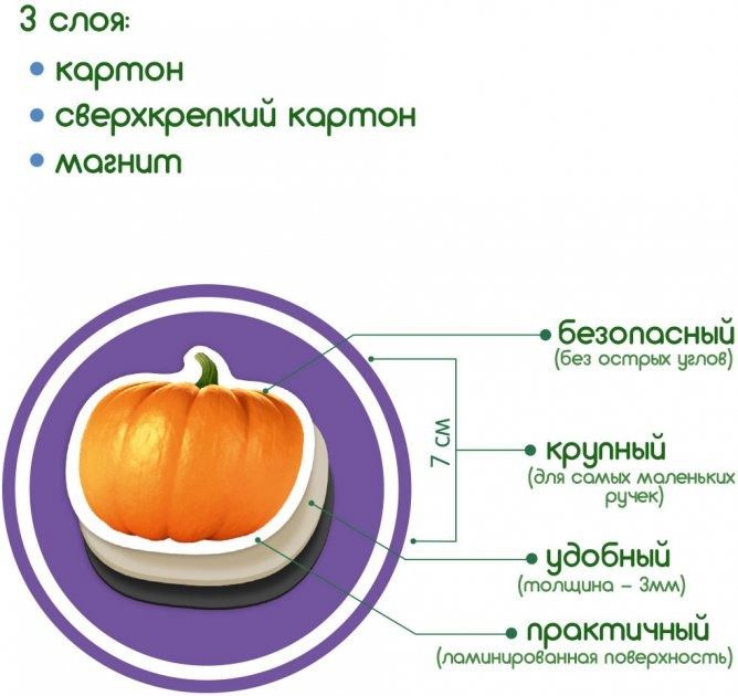 Набор магнитов Magdum "Фрукты и овощи" ML4031-15 EN