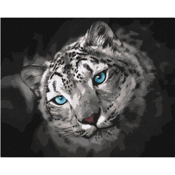 Картина по номерам "Небесный взгляд" Идейка KHO4306 40х50 см