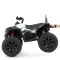 Детский электроквадроцикл Bambi Racer M 4795EBLR-1 до 30 кг