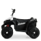 Детский электромобиль Квадроцикл Bambi Racer M 4131EL-1 до 30 кг