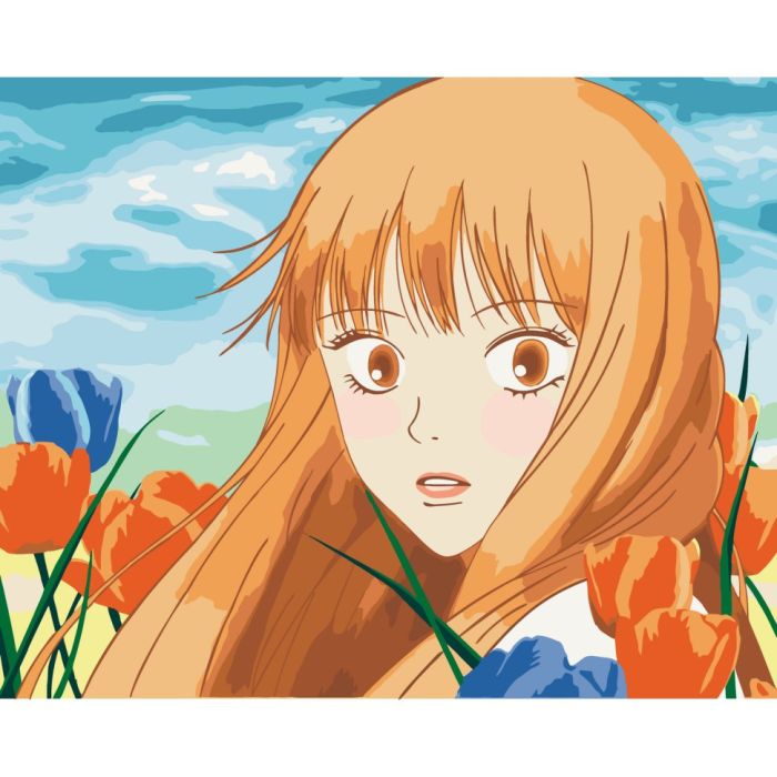 Картина по номерам без подрамника "Kimi ni Todoke" 16066-ACNF Art Craft 40*50 см