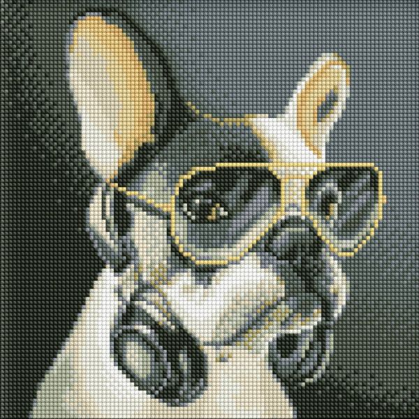 Алмазная мозаика без подрамника  "Пушистый диджей" AMC7725 30х30 см 