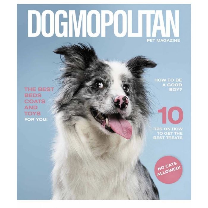 Тетрадь общая "Pets magazine" 036-3194K-5 в клетку 36 листов